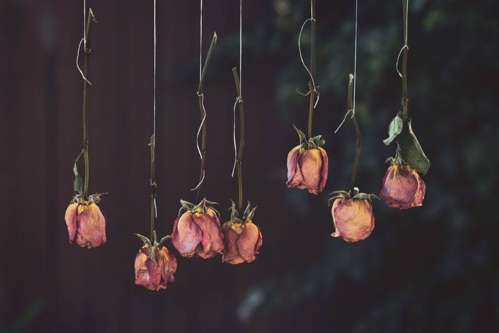 flores secas